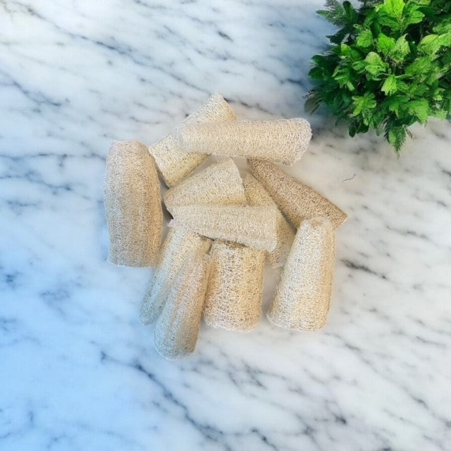 Homegrown Loofah Sponges
