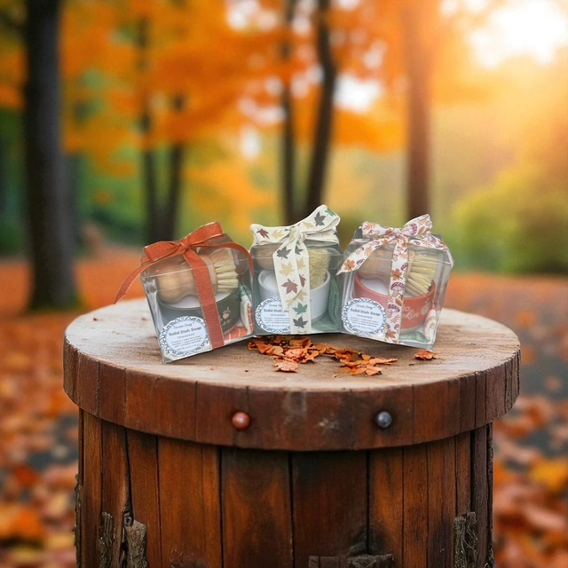 Solid Dish Soap Set – Fall Collection
