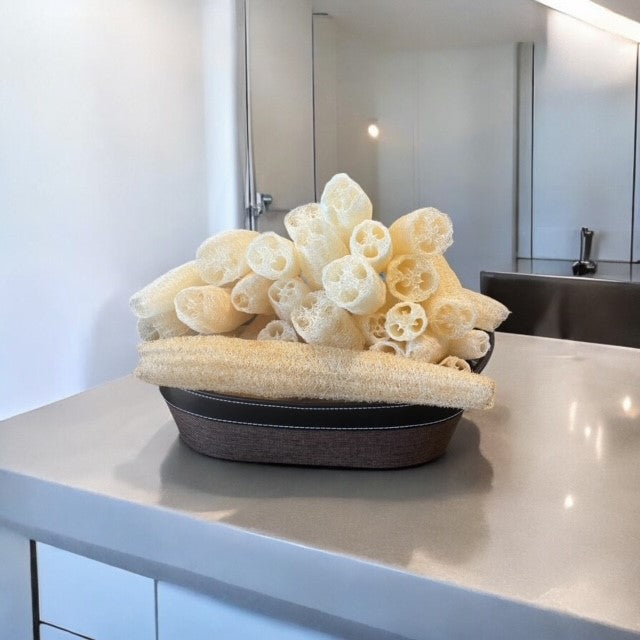 Homegrown Loofah Sponges