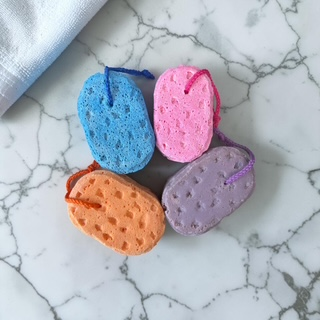 Soapy Sponge - Oval (Soap Infused)