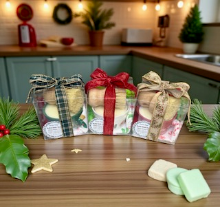 Solid Dish Soap Set – Holiday Collection